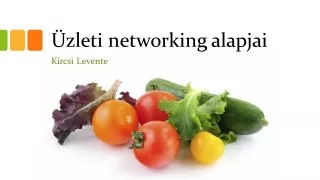 Üzleti networking alapjai!