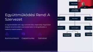 11. A cég alkotmányai,  az alapelvei