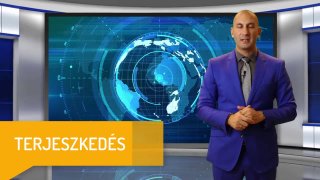 Ügyféltípus: 8-15 fős vállalkozások